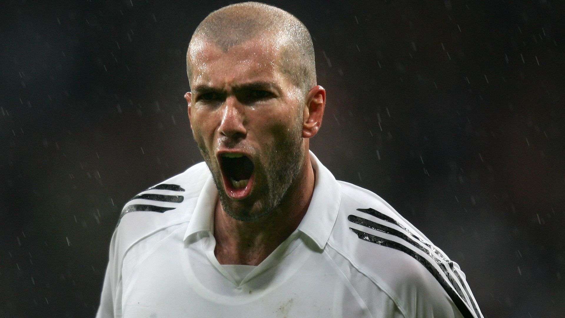 球迷们在选 球迷们在选